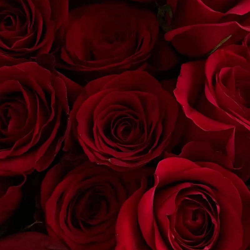 Precyzyjne zdobienie paznokci La Vie en Rouge