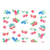 Wassertransfer-Nagelaufkleber mit Fruchtmotiven BN-839