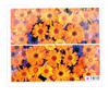 Adhesivos de agua para uñas con motivos florales, hoja de 6,5 x 5,5 cm para 10 dedos, n.º 1610