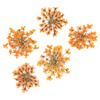Dried flowers for nail art MollyLac Orange 5 pcs