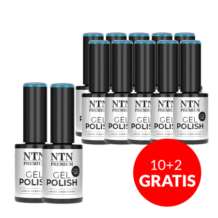 10+2 gratis Smalto ibrido LED/UV Gel Polish NTN Premium Design Your Style Collection n. 44 senza HEMA/Di-HEMA 5 g