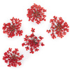 Fleurs séchées pour la décoration des ongles MollyLac Red, 5 pièces