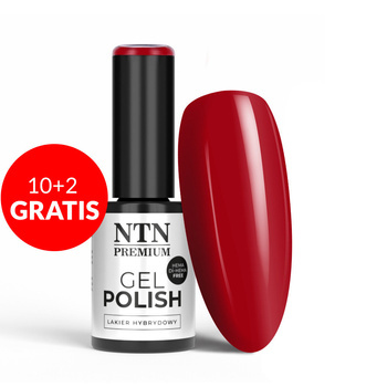 10+2 gratis Smalto ibrido LED/UV Gel Polish NTN Premium Oriental Delice n. 268 senza HEMA/Di-HEMA 5 g