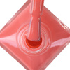 Classic Nail Polish STEP 2: Color Lacquer Vinyl Effect System MollyNails Sparking Pink 10 ml