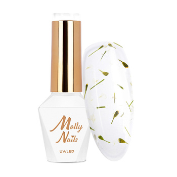 Smalto ibrido Molly Nails Flowers Nails senza HEMA/Di-HEMA 8 g n. 150