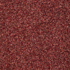 Polvere glitterata per unghie Glitter Dust 5 g n. 5
