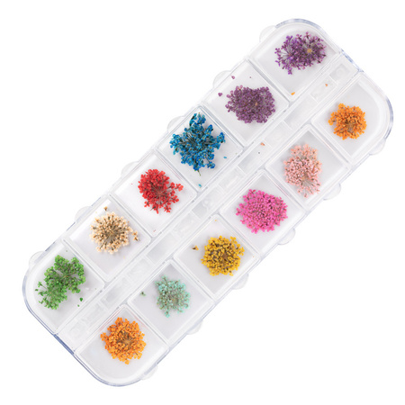 Dried flowers for nail art in a Molly Nails case, type A, 24 pcs