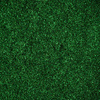 Poudre à effet miroir pour la décoration des ongles MollyLac Glass Effect Green n° 9