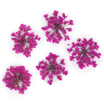 Dried flowers for nail art MollyLac Peach Pink 5 pcs