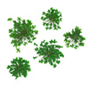 Fleurs séchées pour la décoration des ongles MollyLac Green, 5 pièces