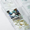 Conchiglie tritate per decorare le unghie in confezione n. 1