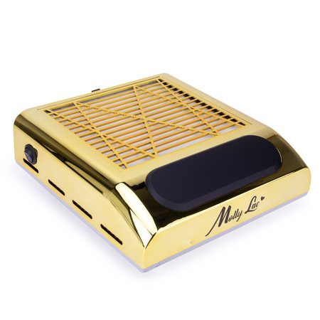 Filtro antipolvere a cassetta MollyLac da 80 W con 1 ventola, color oro, 858-8
