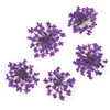 Getrocknete Blumen zur Nagelverzierung MollyLac Purple, 5 Stück