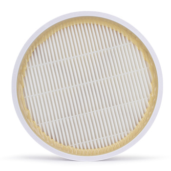 Filter for cassette absorber 858-6
