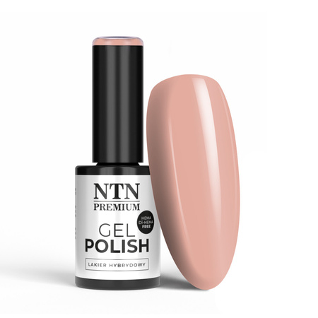 Esmalte híbrido LED/UV Gel Polish NTN Premium Day Dreaming Collection n.º 60, sin HEMA ni Di-HEMA, 5 g
