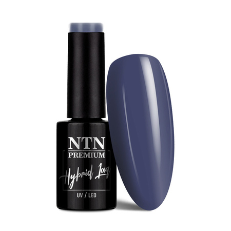 Гібридний лак Ntn Premium Dessert Collection 5 г № 99