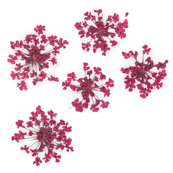 Dried flowers for nail art MollyLac Fuchsia 5 pcs