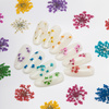 Dried flowers for nail art MollyLac Purple 5 pcs