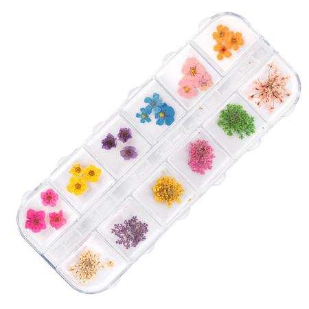 Dried flowers for nail art in a Molly Nails box, type B, 36 pcs.