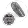 MollyLac Reflective Effect Nail Dust 1 g No. 2