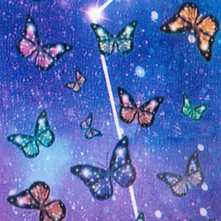 Lámina de transferencia Butterflies, 100 cm, n.º 24