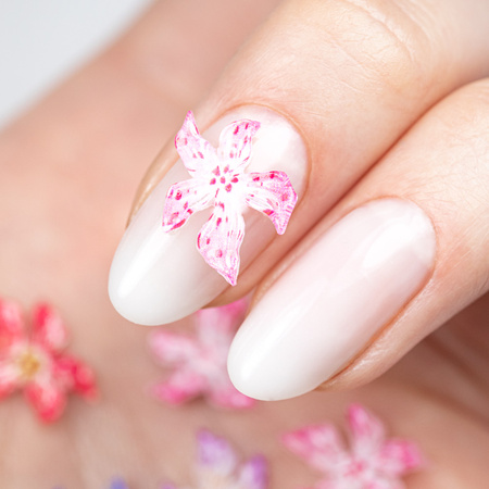 Box with acrylic 3D flower decorations Molly Nails mix of colors 60 pieces