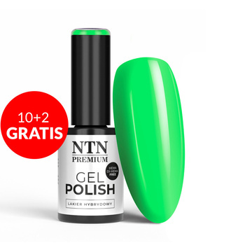 10 + 2 gratis. Esmalte híbrido NTN Premium Limited Edition sin HEMA ni Di-HEMA, 5 g, n.º 432