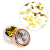 Décoration pour ongles « verres » dorés holographiques Molly Nails 2 g
