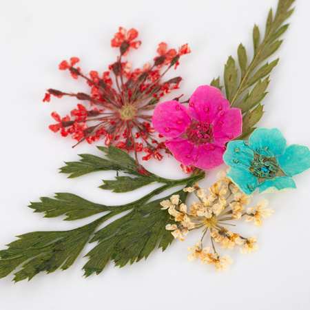 Dried flowers for nail art in a Molly Nails box, type E, 36 pcs