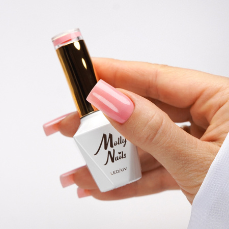 Business Class LED/UV Gel Polish No. 311 Nude Blazer by MollyNails, HEMA/Di-HEMA Free, 8 g + FREE Nude Color Chart