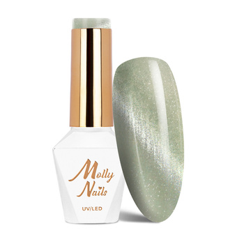 Magnetic hybrid nail polish with cat's eye effect Cat Eye Crystal Water Molly Nails 8g No. 162
