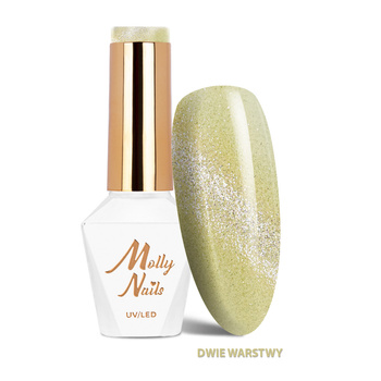 Cat Eye Crystal Water No. 260 Champagne Molly Nails HEMA/Di-HEMA-Free LED/UV Gel Polish 8g