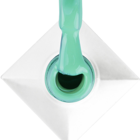 Molly Nails Green Party Total Mint HEMA/Di-HEMA Free Hybrid Nail Polish 8g No. 82