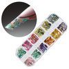 Coquillages broyés pour la décoration des ongles, coffret n° 3