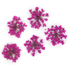 Dried flowers for nail art MollyLac Peach Pink 5 pcs
