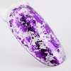 Poudre à ongles métallisée MollyLac, paillettes d'aluminium, 0,2 g, n° 8