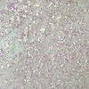 MollyLac Aurora Mirror Mist Nagelstaub 0,3 g Nr. 6