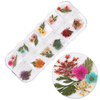 Dried flowers for nail art in a Molly Nails box, type E, 36 pcs