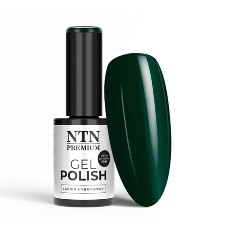 Vernis hybride NTN Premium After Midnight Collection sans HEMA/Di-HEMA, 5 g, n° 71