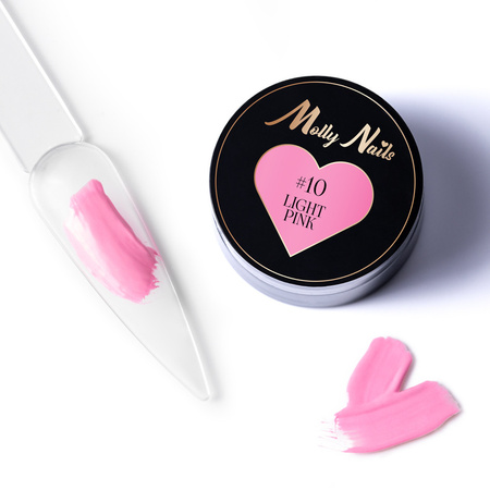 ProArt Paste Molly Nails Light Pink HEMA/Di-HEMA Free 5g No. 10