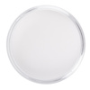 MollyLac Acrylpulver für Nägel, Bright White, 120 g