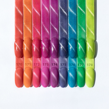 5+1 free Molly Nails Neon Flashy Cat Eye HEMA Free Hybrid Nail Polish 8g No. 176