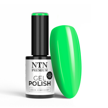 NTN Premium Limited Edition HEMA/Di-HEMA-freier Hybridlack 5 g Nr. 432