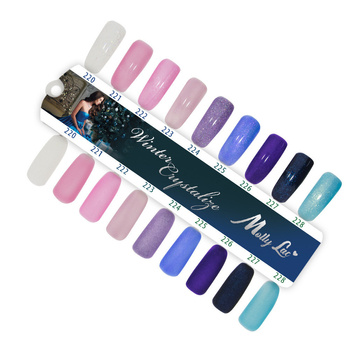 MollyLac Winter Crystalize Gloss and Matte 9 Colors Template