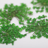 Fiori secchi per decorazioni per unghie MollyLac Green, 5 pezzi
