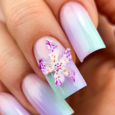 ProArt Paste Molly Nails Mint HEMA/Di-HEMA Free 5g No. 4