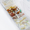 Conchiglie tritate per decorare le unghie in astuccio n. 2