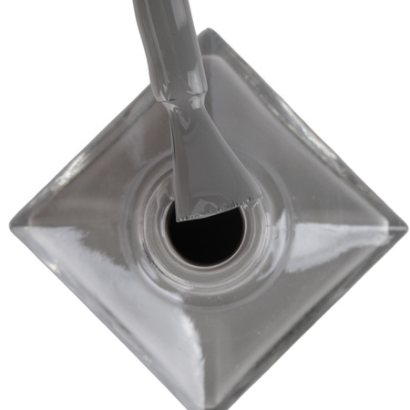 ЛАК КЛАСИЧНИЙ MollyLac 10ML № 06