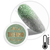 Polvere per unghie Thermo Flash Effect MollyLac 0,5 g n. 8
