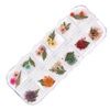 Dried flowers for nail art in a Molly Nails box, type E, 36 pcs
